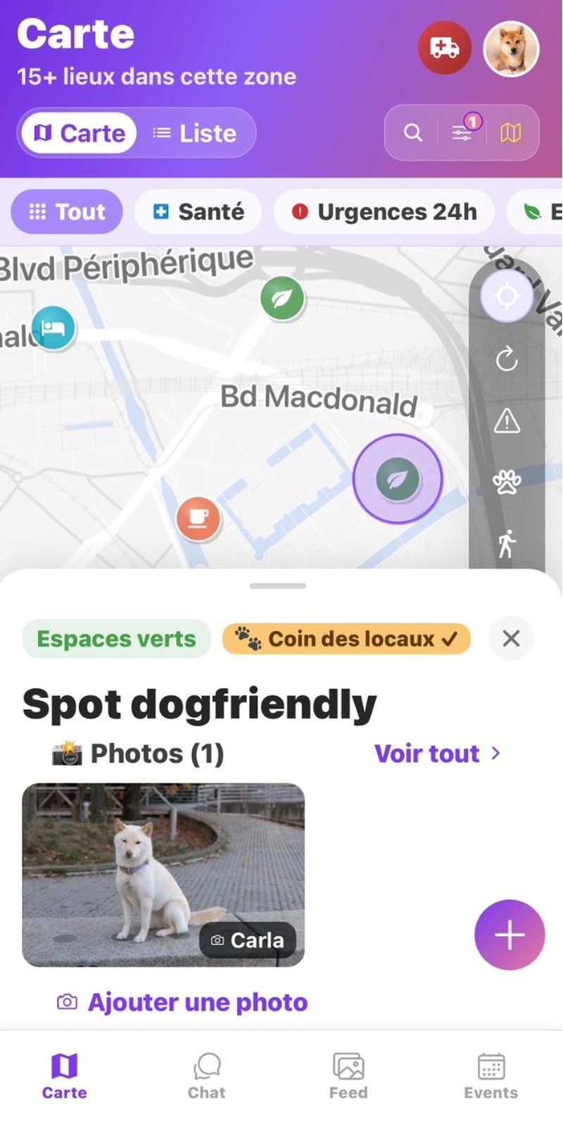 Spot dogfriendly avec tag Coin des locaux