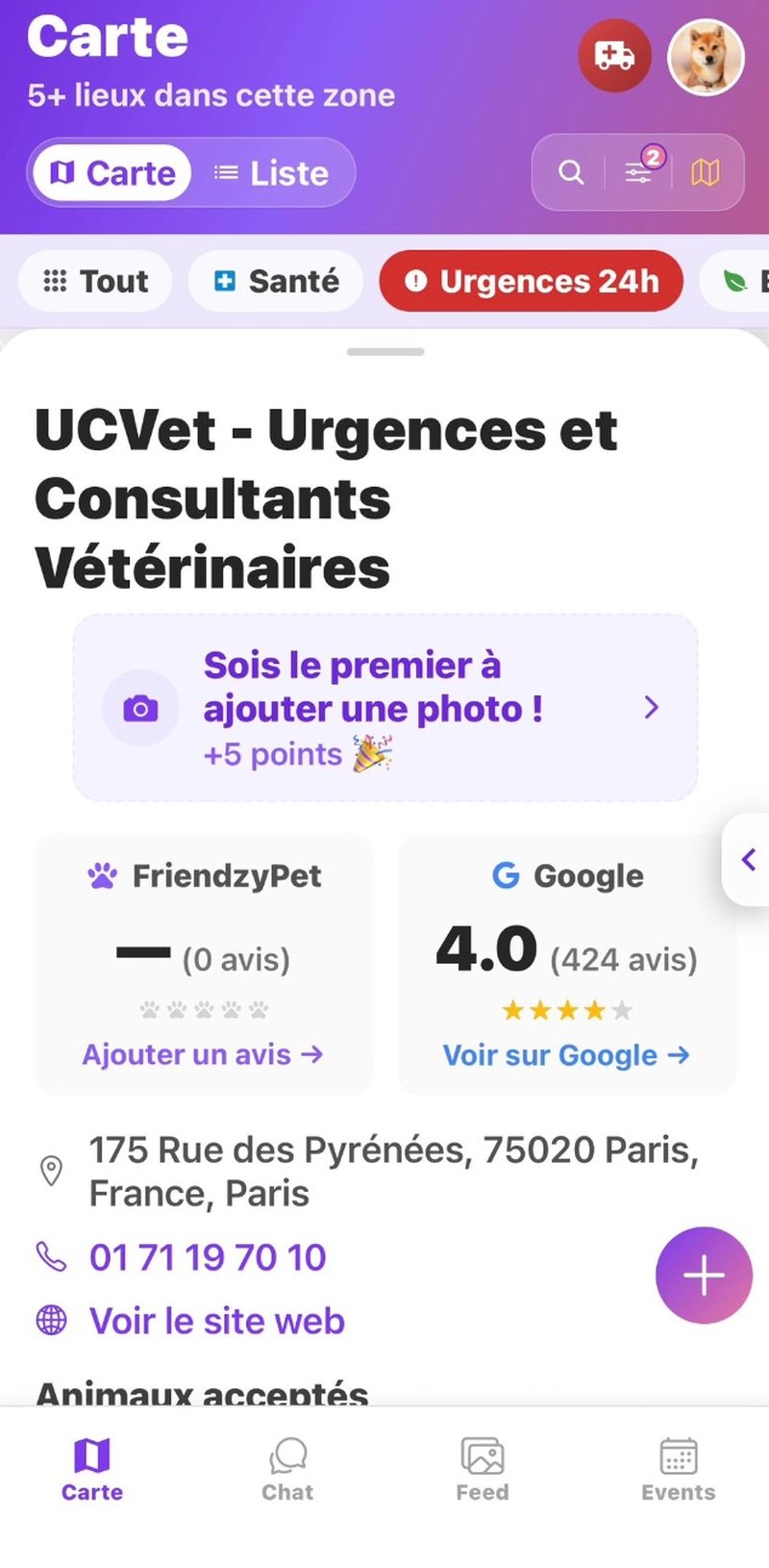 Fiche clinique vétérinaire avec avis
