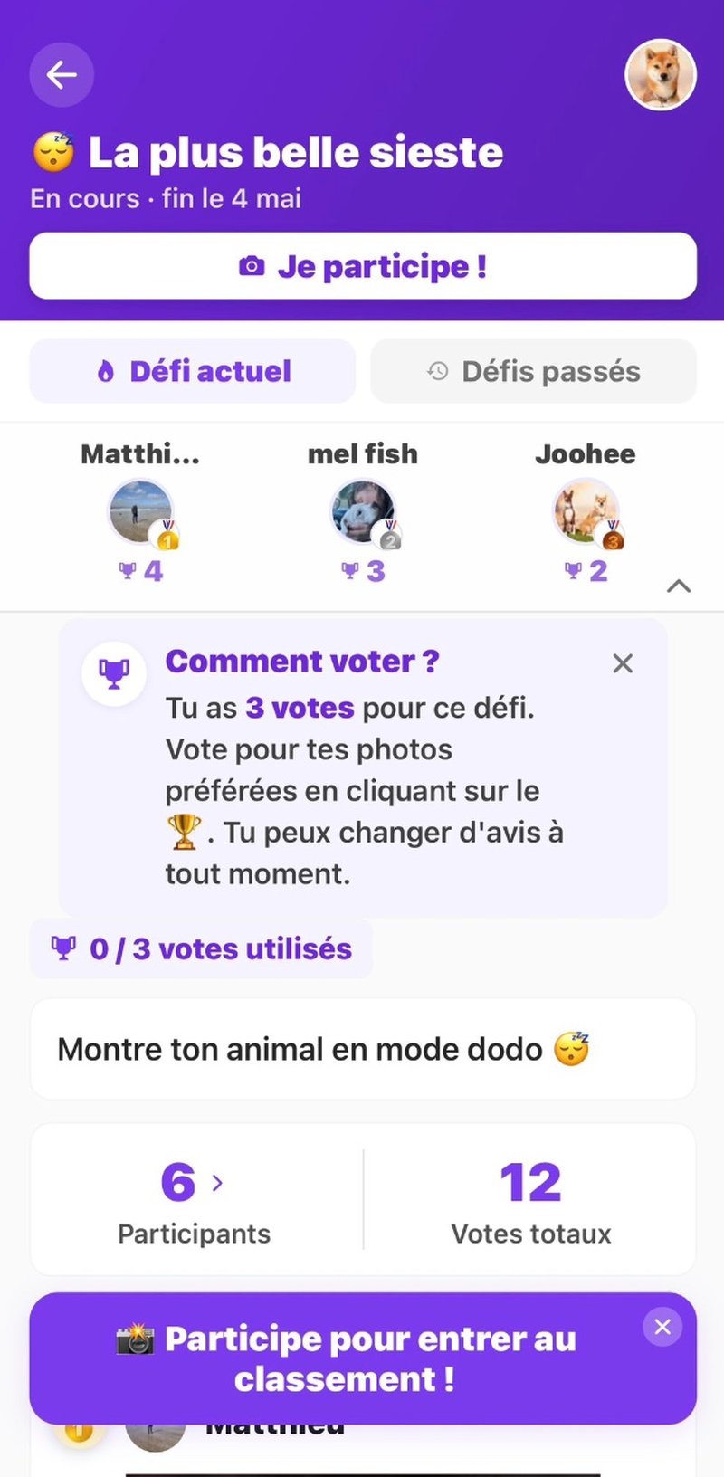Feed